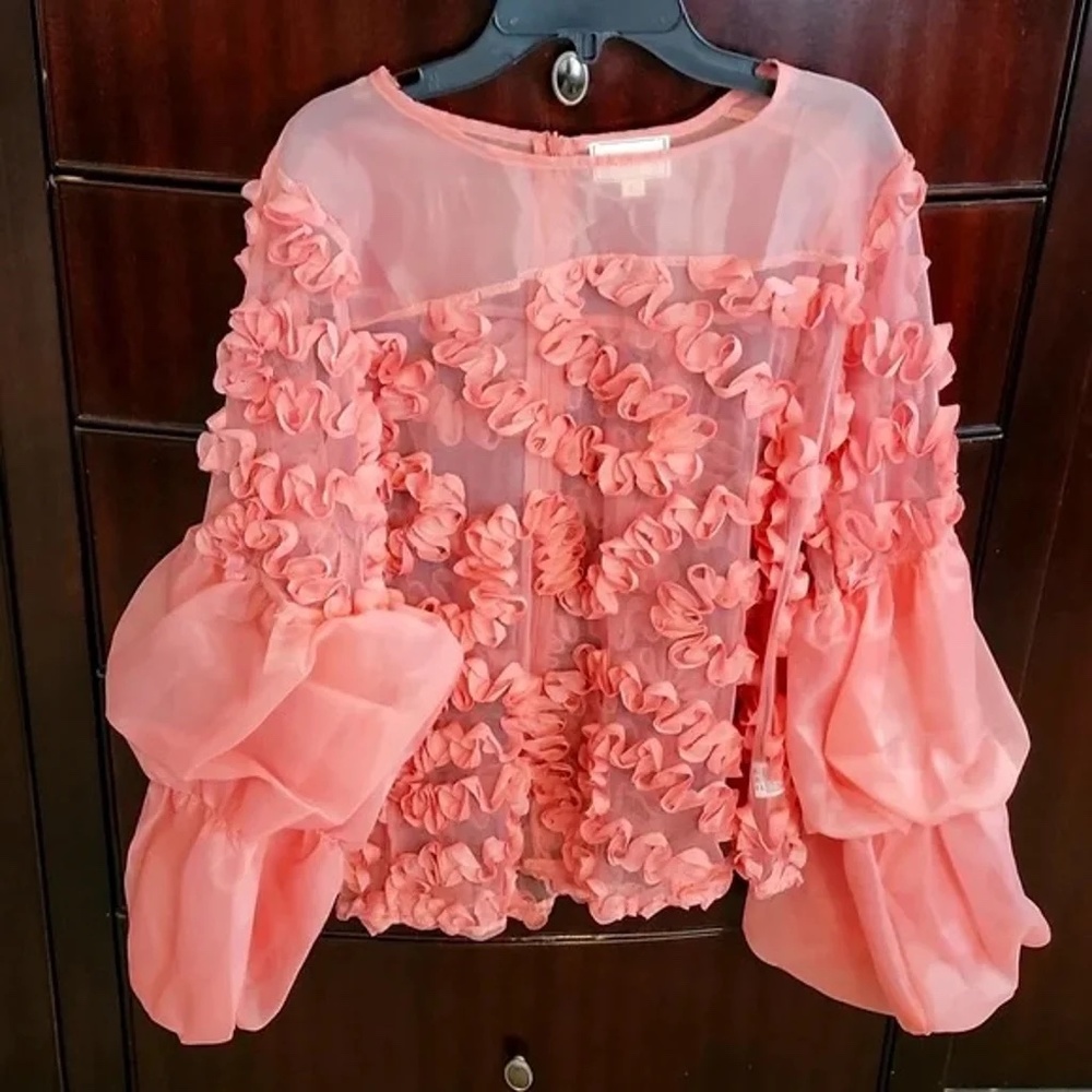 NWT WoWo Women's Size 1X Sheer Floral Blush Pink Blouse W/ Bell Puffy Sleeves